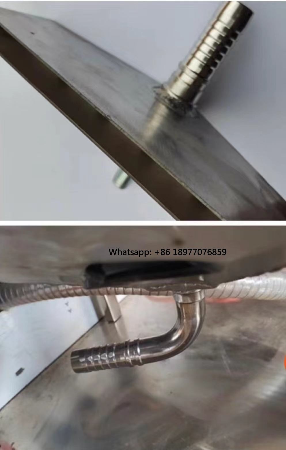 Nova Máquina Elétrica Totalmen - Spring Roll Wrapper avaliação e preço
