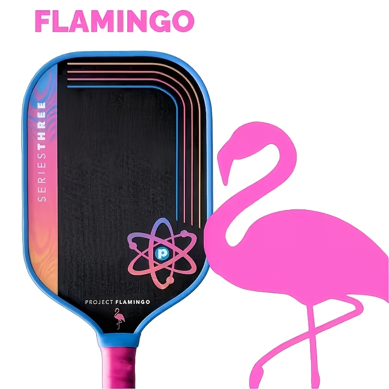Raquete de Pickleball PROJECT  - Crepe Pan Carbon avaliação e preço